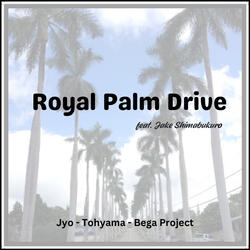 Royal Palm Drive (feat. Jake Shimabukuro)