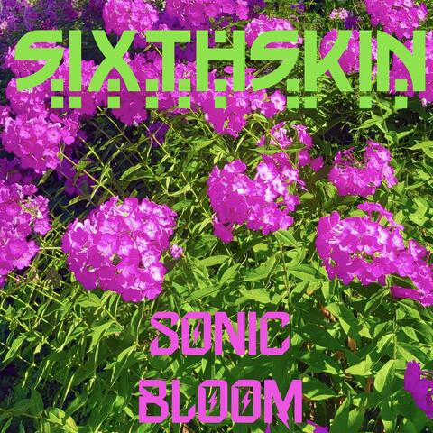 Sonic Bloom