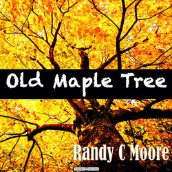 Old Maple Tree