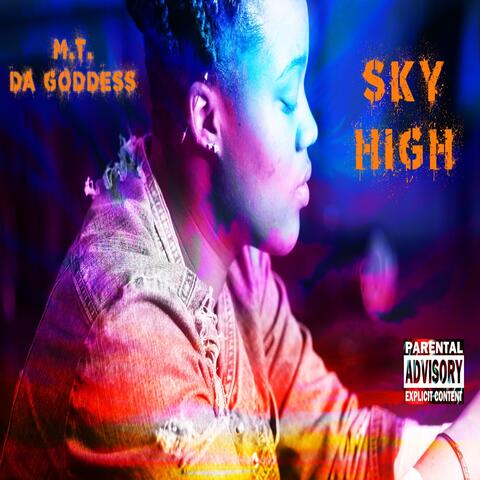 Sky High