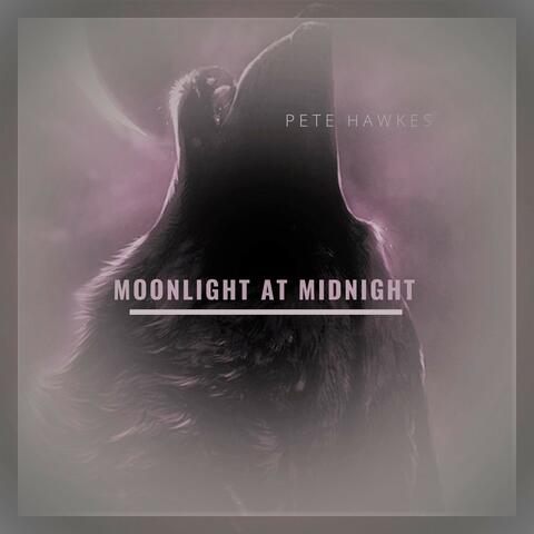 Moonlight at Midnight