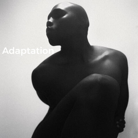 Adaptation