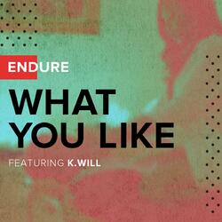 What You Like (feat. K-Will)