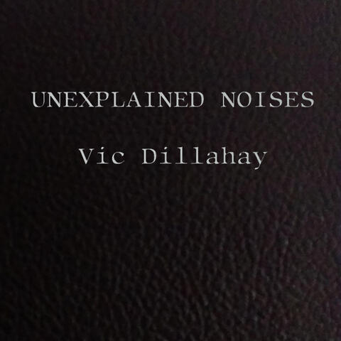 Unexplained Noises