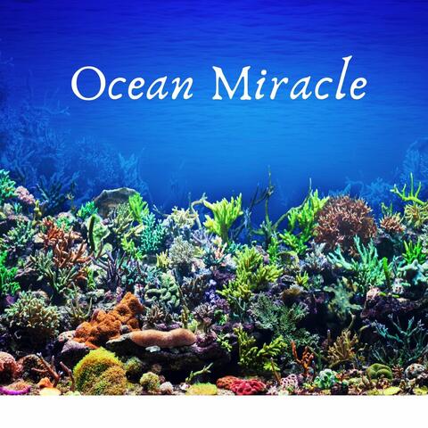 Ocean Miracle