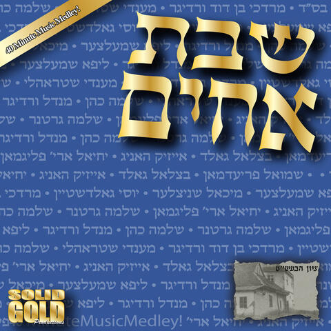 Shevet Achim: 40 Minute Music Medley! (feat. Sheves Achim Family)