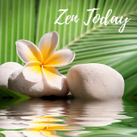Zen Today