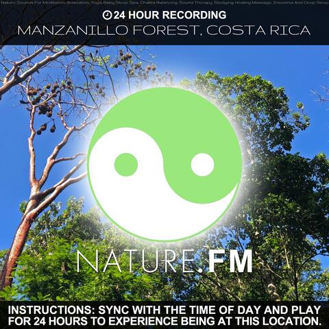 24 Hour Recording: Manzanillo Forest, Costa Rica (Nature Sounds for Meditation, Relaxation, Yoga, Baby Sleep, Spa, Chakra Balancing, Sound Therapy, Studying, Healing Massage, Insomnia and Deep Sleep)