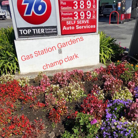 Gas Station Gardens