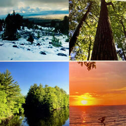 Cold Spring Day (Acoustic)