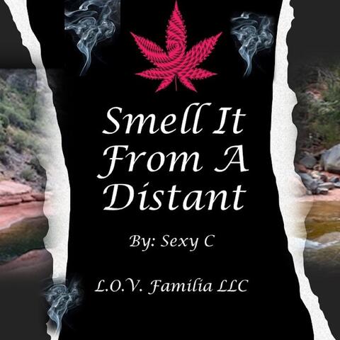 Smell It from a Distant