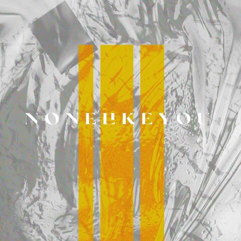 None Like You (feat. Christina Rogers)