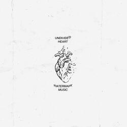 Undivided Heart (feat. Hayden Browning)