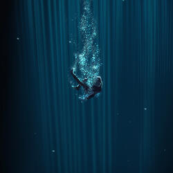 Say Too Much
