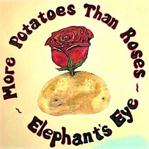 More Potatoes Than Roses