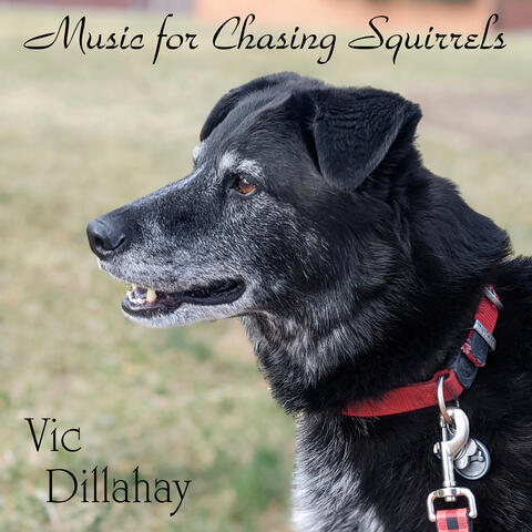 Music for Chasing Squirrels