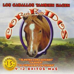 La Banda del Camaleon