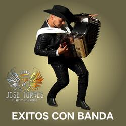 Mejor Vete