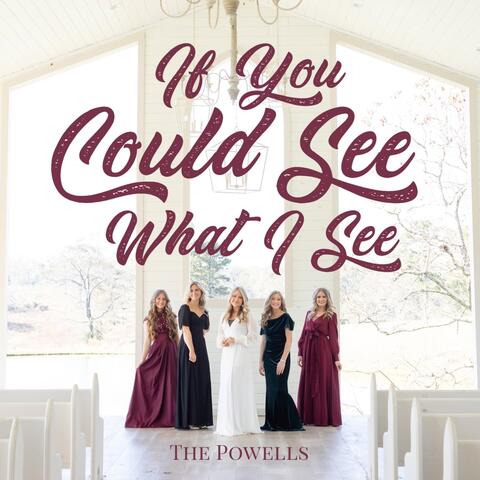 If You Could See What I See