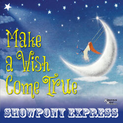 Make a Wish Come True