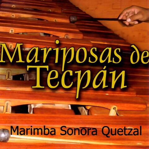 Mariposas de Tecpán