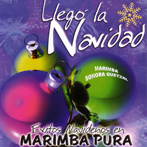 Llegó la Navidad (Éxitos Navideños en Marimba Pura)