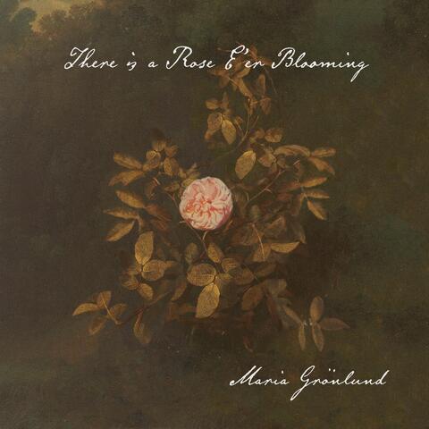 There Is a Rose E'er Blooming