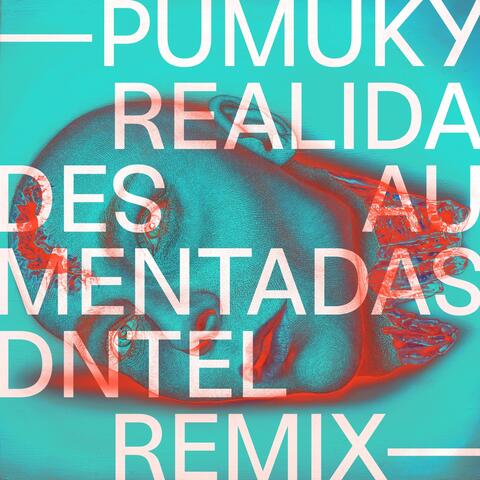 Realidades Aumentadas (Dntel Remix)