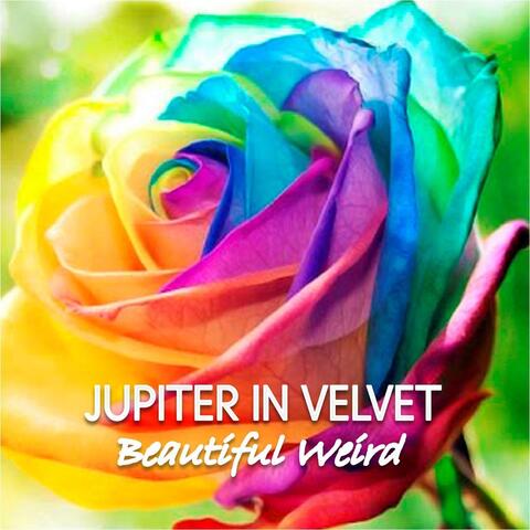 Beautiful Weird