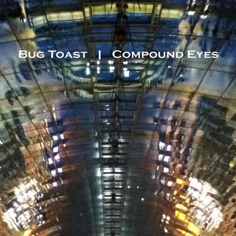 Compound Eyes