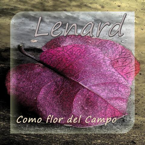 Comoflordecampo