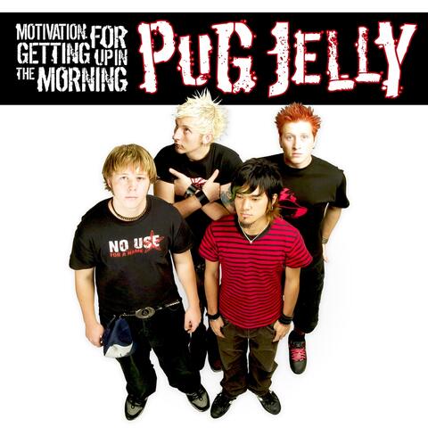 Pug Jelly