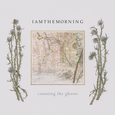 Counting the Ghosts