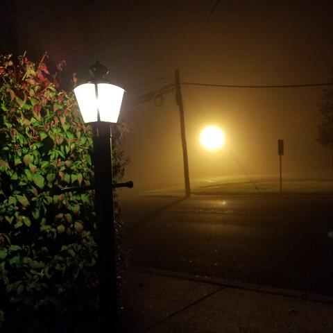 Halloween Forever