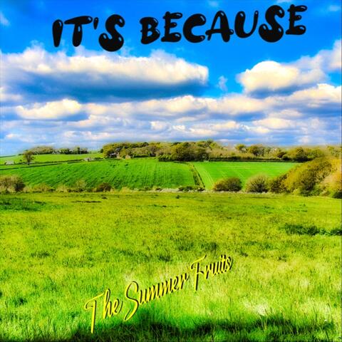 It's Because