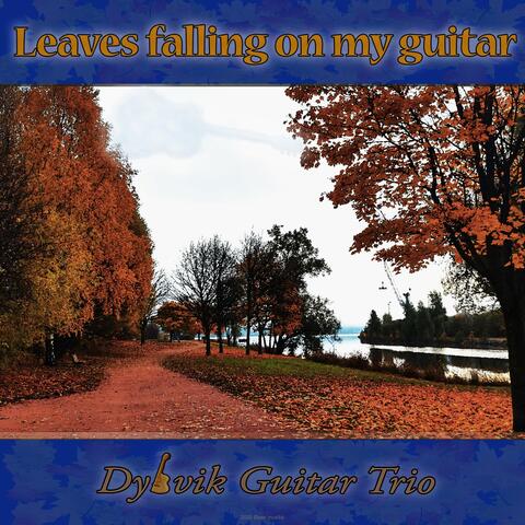 Leaves Falling on My Guitar
