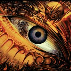The Stream of Causality