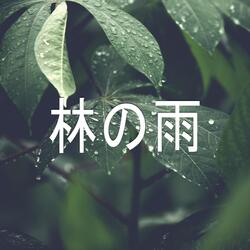 林の雨、パート19