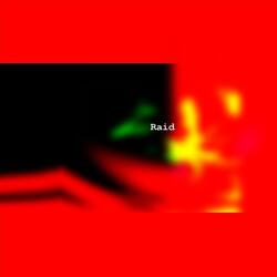 Raid