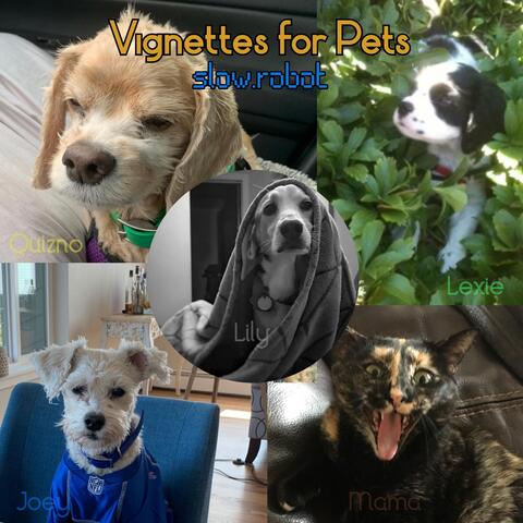 Vignettes for Pets