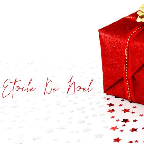 Etoile de Noel