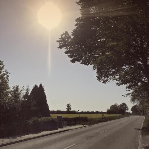 Sunshine
