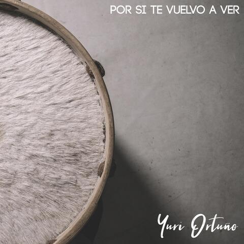Por Si Te Vuelvo a Ver