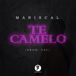 Te Camelo