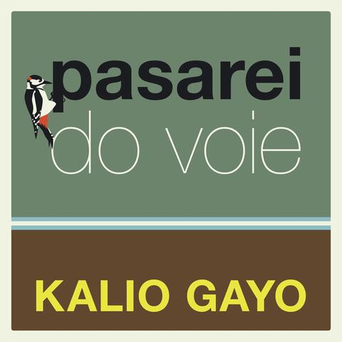 Pasarei Do Voie (Live)