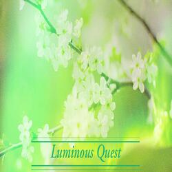 Luminous Quest