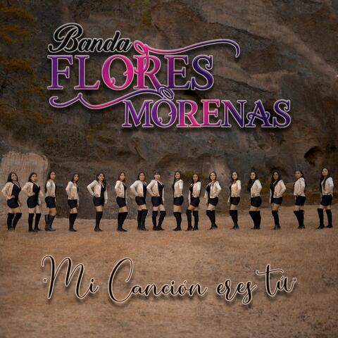 Mi Cancion Eres Tu