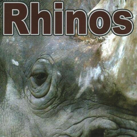 Rhinos