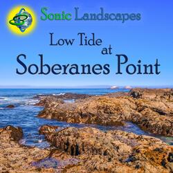 Low Tide at Soberanes Point, Pt. 5