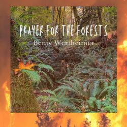 Prayer for the Forests